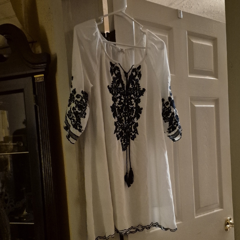 Chic Blue and White Embroidered Mini Dress